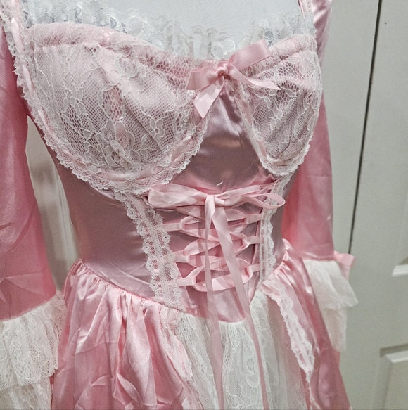 Dolls Kill Exclusive French Cake Queen Marie Antoinette Pink Lace Mini Dress S - Picture 4 of 11